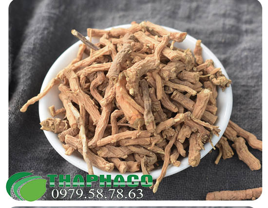 Viễn Chí Tại THAPHACO