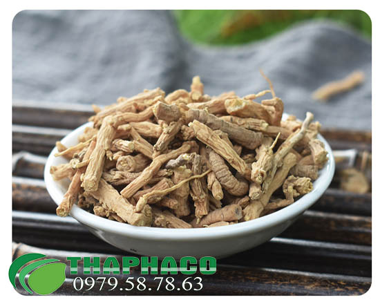 Viễn Chí Tại THAPHACO