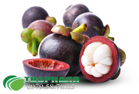 Địa Chỉ Bán Vỏ Măng Cụt Tại TP.HCM - THAPHACO