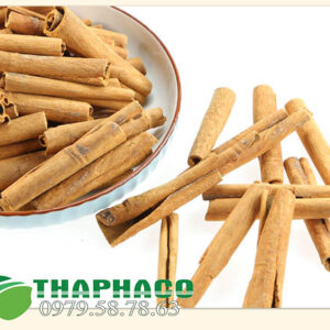 Bán Sỉ Vỏ Quế Tại TP.HCM