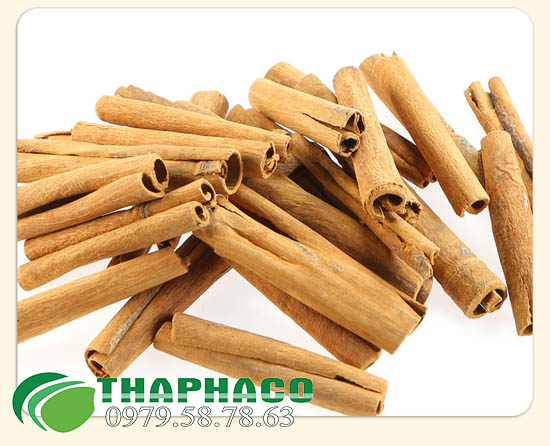 Bán Sỉ Vỏ Quế Tại TP.HCM