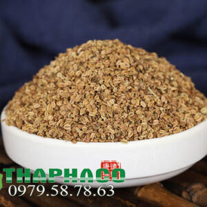 xà sàng tử tại TP.HCM