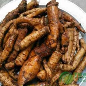 Củ gai tươi