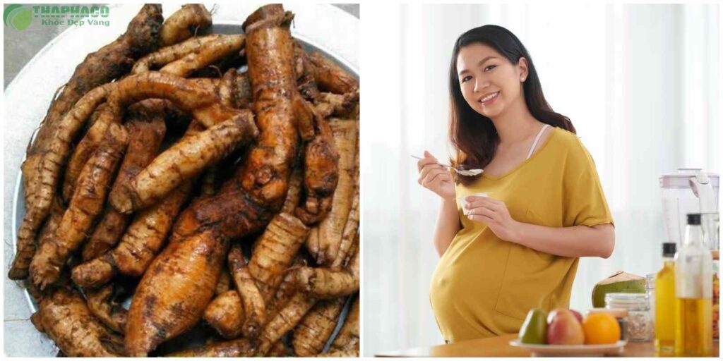 Công dụng hiệu quả của củ gai tươi đối với các bà bầu
