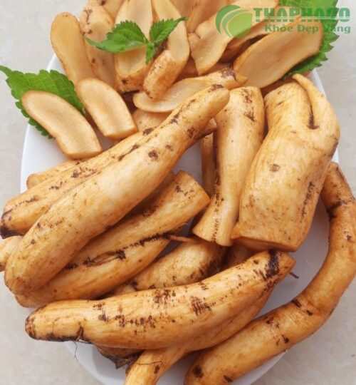 Bài thuốc của củ gai trị bệnh hiệu quả
