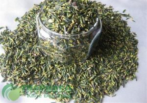 Tim Sen Chất Lượng Cao Tại TP.HCM