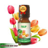 Nơi Cung cấp Tinh Dầu Tulip Tại TP.HCM