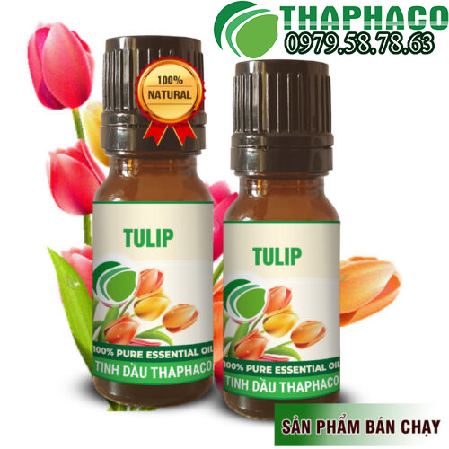 Nơi Cung cấp Tinh Dầu Tulip Tại TP.HCM