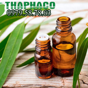 Nơi Cung Cấp Tinh Dầu Khuynh Diệp Tại TP.HCM