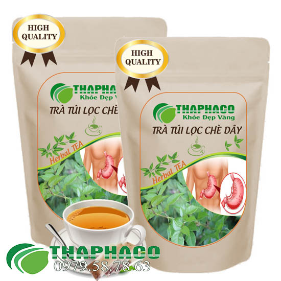 Địa Chỉ Bán Sỉ Trà Túi Lọc Chè Dây Tại TP.HCM