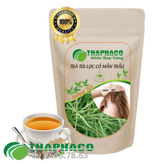 Địa Chỉ Bán Sỉ Trà Túi Lọc Cỏ Mần Trầu Tại TP.HCM