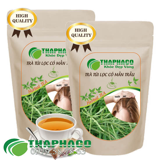 Địa Chỉ Bán Sỉ Trà Túi Lọc Cỏ Mần Trầu Tại TP.HCM