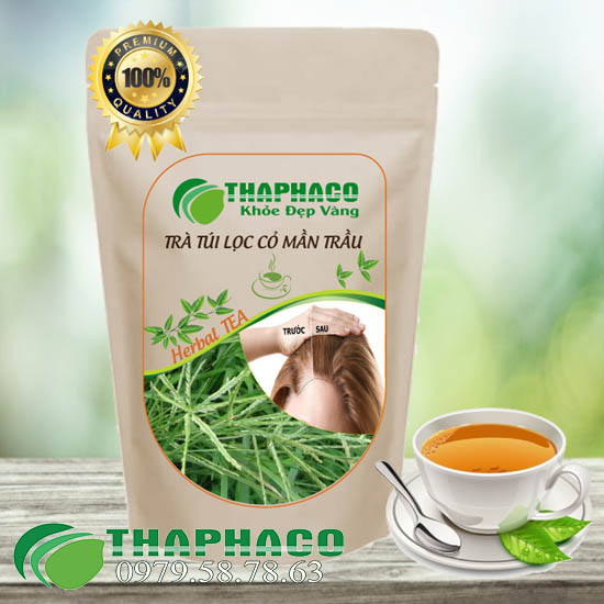 Địa Chỉ Bán Sỉ Trà Túi Lọc Cỏ Mần Trầu Tại TP.HCM