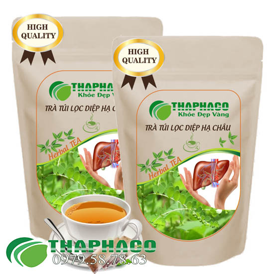 Nới Bán Sỉ Trà túi Lọc Diệp Hạ Châu Tại TP.HCM