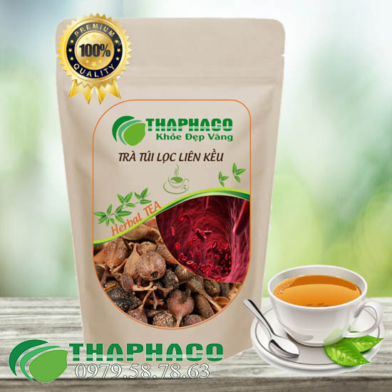 Địa Chỉ Bán Sỉ Trà Túi Lọc Liên Kiều Tại TP.HCM