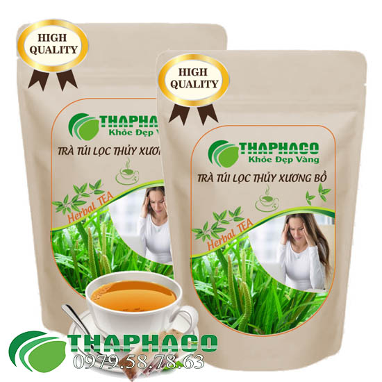 Địa Chỉ Bán Sỉ Trà Túi Lọc Thạch Xương Bồ Tại TP.HCM