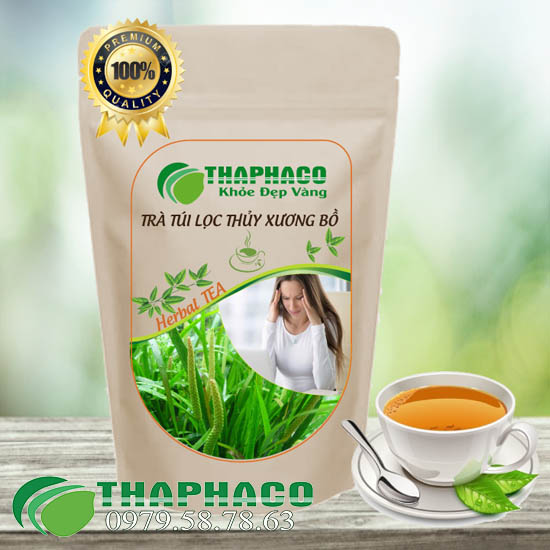 Địa Chỉ Bán Sỉ Trà Túi Lọc Thạch Xương Bồ Tại TP.HCM