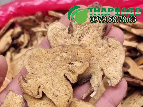 THAPHACO địa chỉ bán sỉ bạch truật khô tại HCM