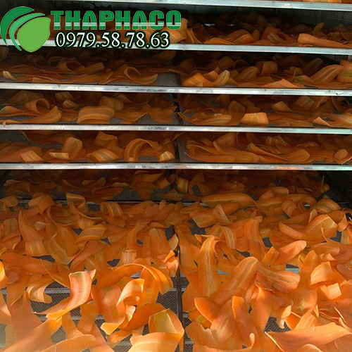 Quy trình sản xuất bột cà rốt tại THAPHACO