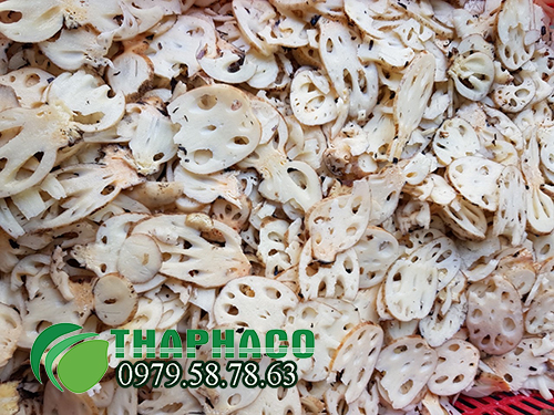 Quy trình sản xuất tinh bột củ sen tại THAPHACO