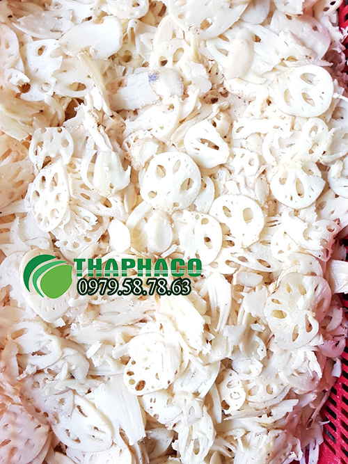 Quy trình sản xuất tinh bột củ sen tại THAPHACO