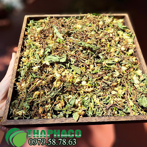 Trà sơn mật hồng sâm nguyên chất tại TP.HCM