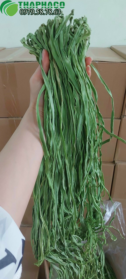 Rau tiến vua chất lượng cao xanh non tại THAPHACO