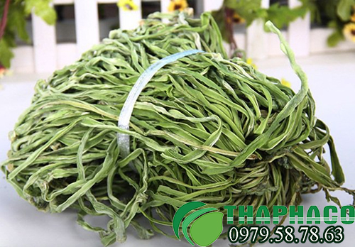 rau tiến vua nguyên chất