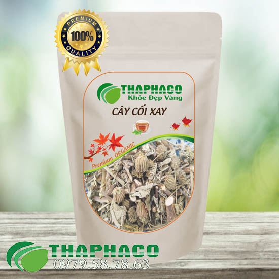 Đại lý phân phối và cung cấp cây cối xay khô tại HCM