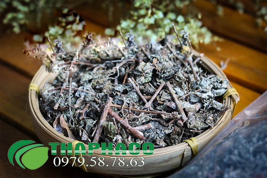 Chè Dây Sấy Khô