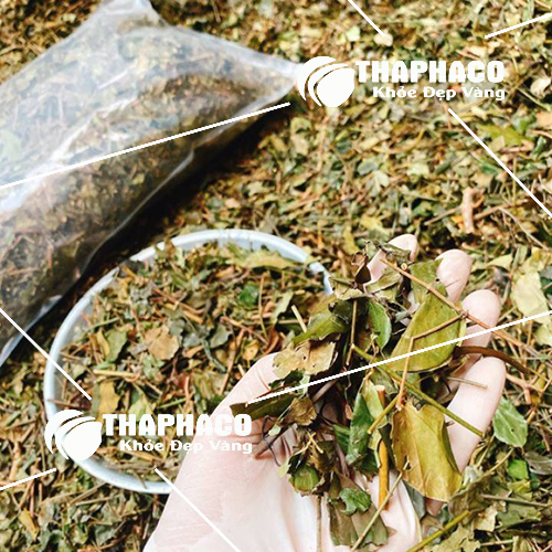 Địa chỉ bán sỉ chè vằng khô tại TP.HCM