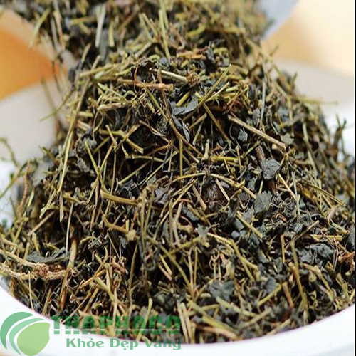Mua Sỉ Giảo Cổ Lam Tại TP.HCM Ở THAPHACO