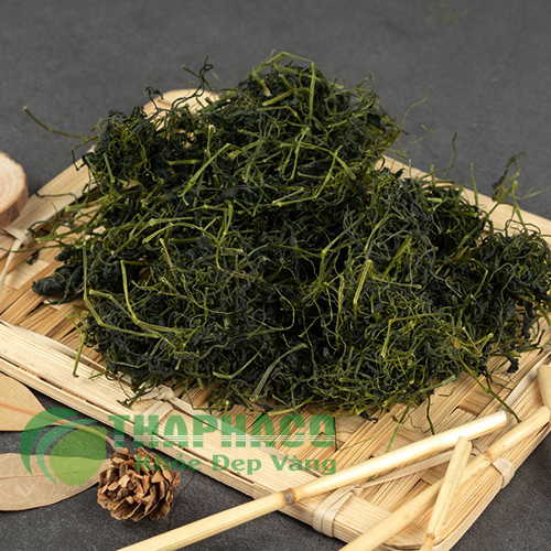Địa chỉ bán sỉ giảo cổ lam tại TP.HCM ở đâu uy tín ?