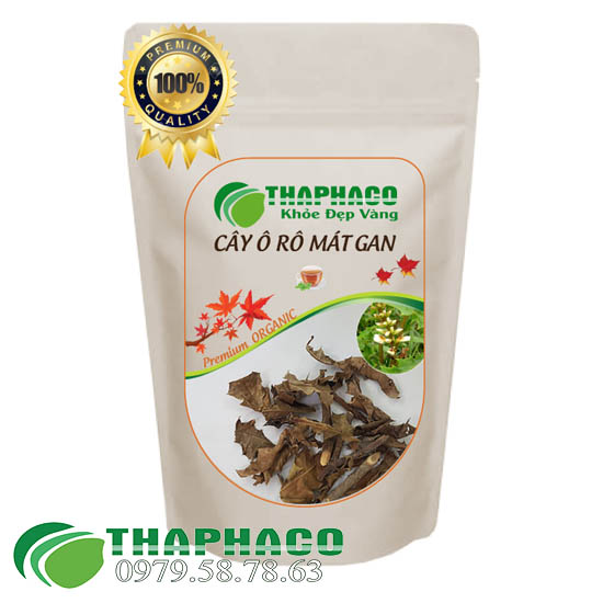 Đại lý phân phối và cung cấp cây ô rô sấy khô giá sỉ tại TP.HCM