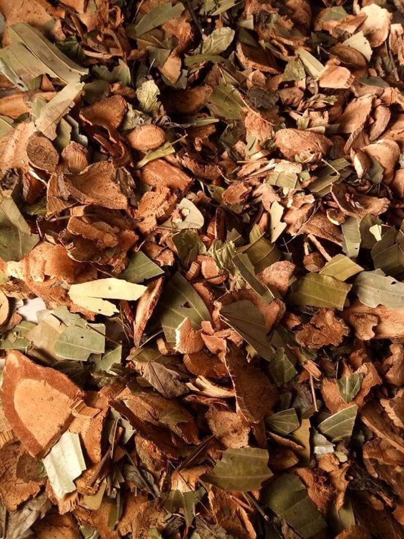 Sản phẩm lá xông bà đẻ của THAPHACO