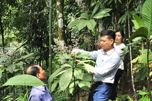 Chuyên gia kiểm định chất lượng của THAPHACO