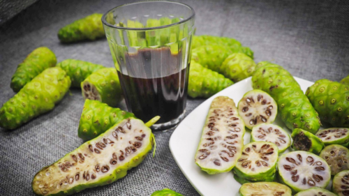 Phân phối sỉ trái nhàu