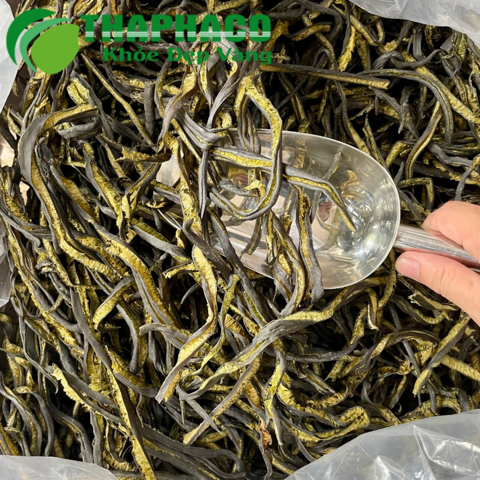 Nơi cung cấp sỉ lẻ tảo xoắn Chile tại HCM uy tín