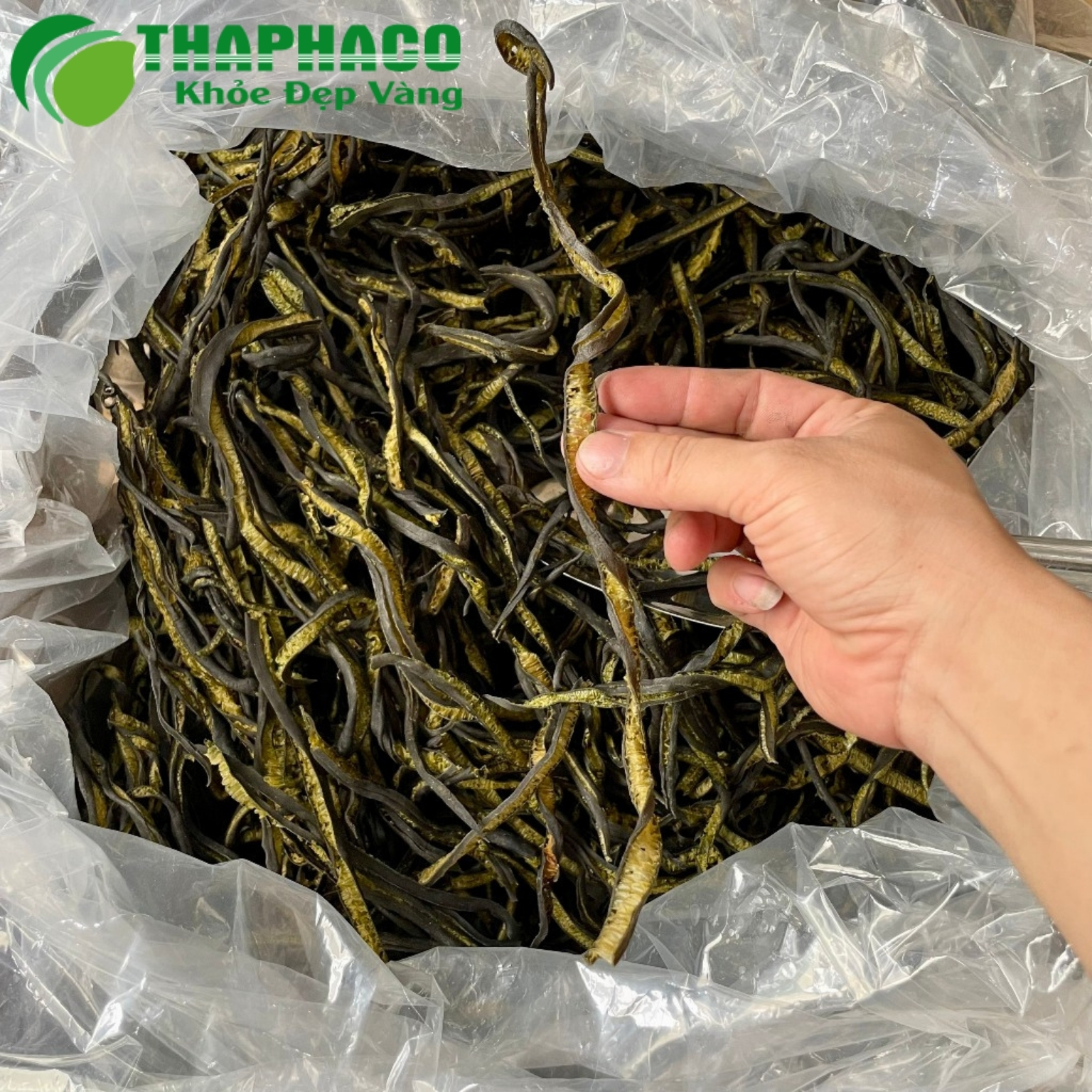Bán sỉ tảo xoắn Chile tại TP.HCM