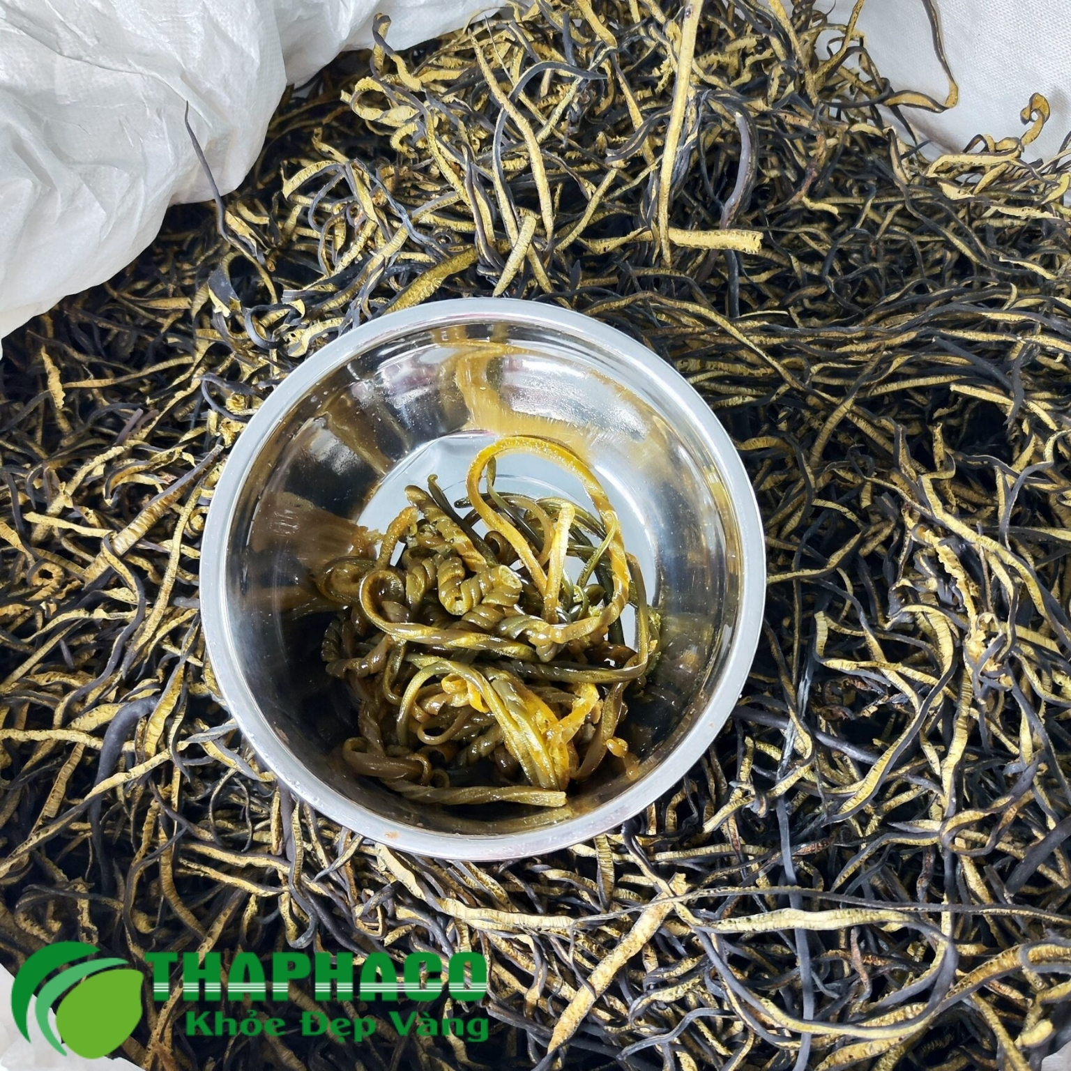 Chọn mua sỉ lẻ tảo xoắn Chile giá rẻ tại HCM ở THAPHACO