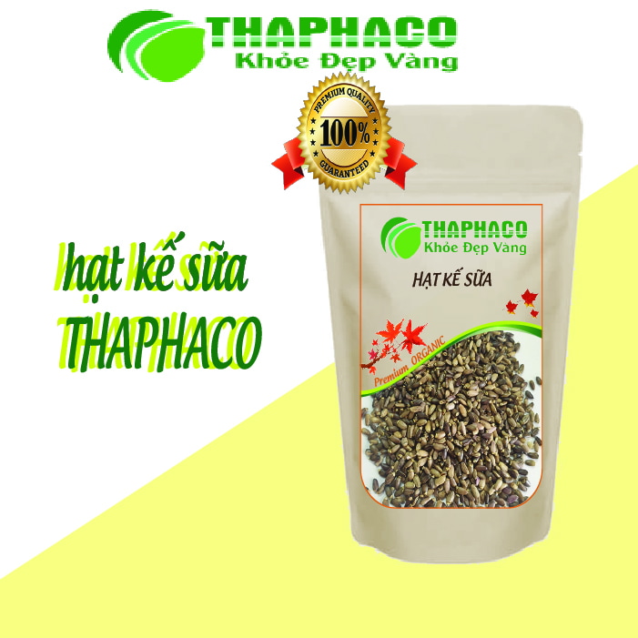 Địa chỉ bán sỉ hạt kế sữa tại TPHCM giá rẻ