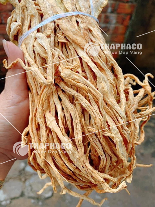 Lợi ích của việc mua sỉ củ cải trắng sấy khô