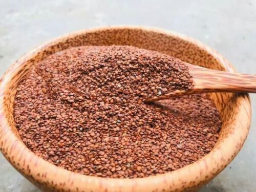 Tiêu chuẩn chất lượng hạt đình lịch của Thaphaco