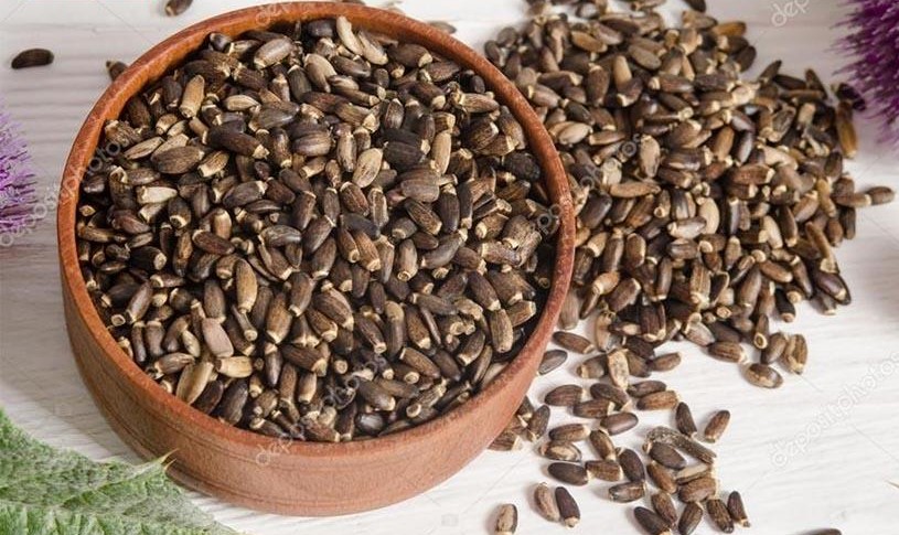 Chất lượng sản phẩm hạt kế sữa của Thaphaco