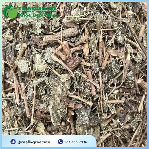 Quy trình kiểm định chất lượng chè dây tại Dược Liệu Sỉ THAPHACO, đảm bảo tiêu chuẩn xuất khẩu.