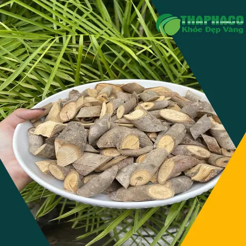 Quy trình sắc nước cây An Xoa tại nhà