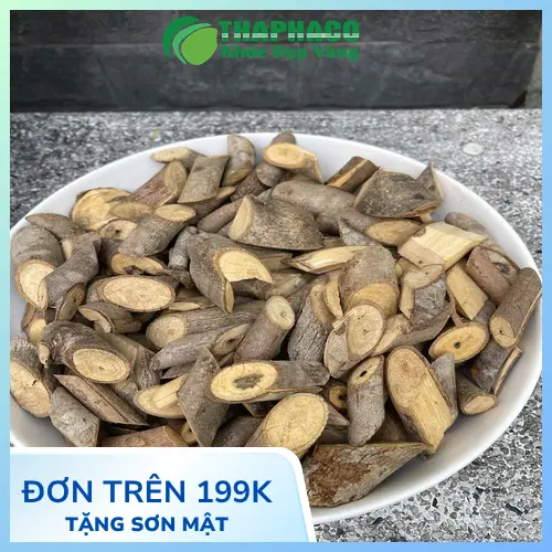 Quy trình sơ chế cây an xoa tại Dược Liệu Sỉ THAPHACO