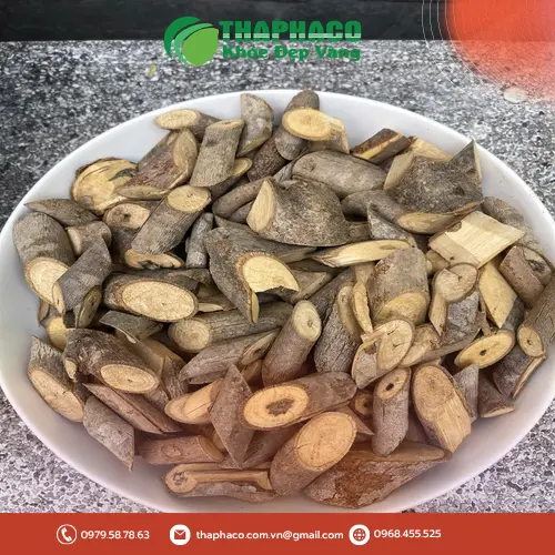 Kho chứa cây an xoa lớn của Dược Liệu Sỉ THAPHACO tại TP.HCM