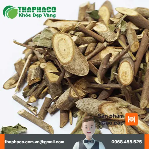Dược liệu An Xoa từ Dược Liệu Sỉ THAPHACO đã được sơ chế