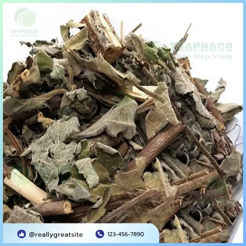 Cách dùng cây an xoa hiệu quả